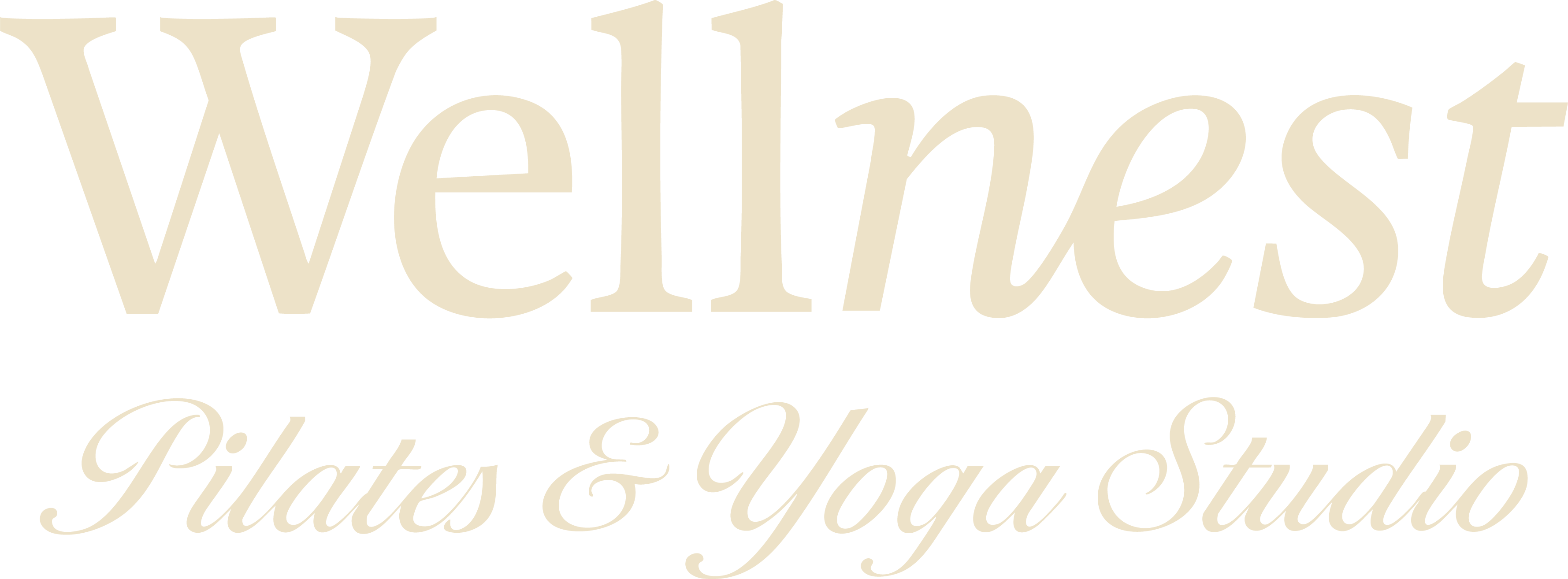 Wellnest Pilates y Yoga Studio